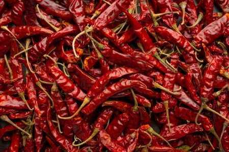 gallery/dried chilli