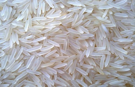 gallery/rice